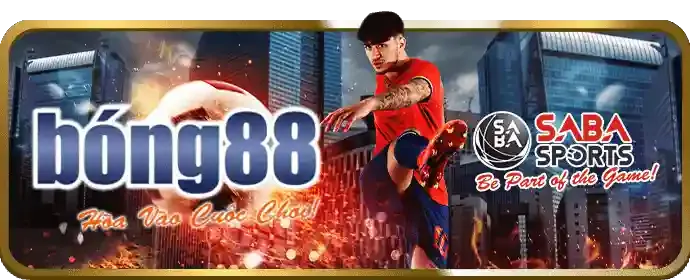 Phân Tích Kèo và Tỷ Lệ Cược